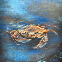 Crab in Blue Waters