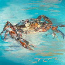 Crab in Turquoise Pool